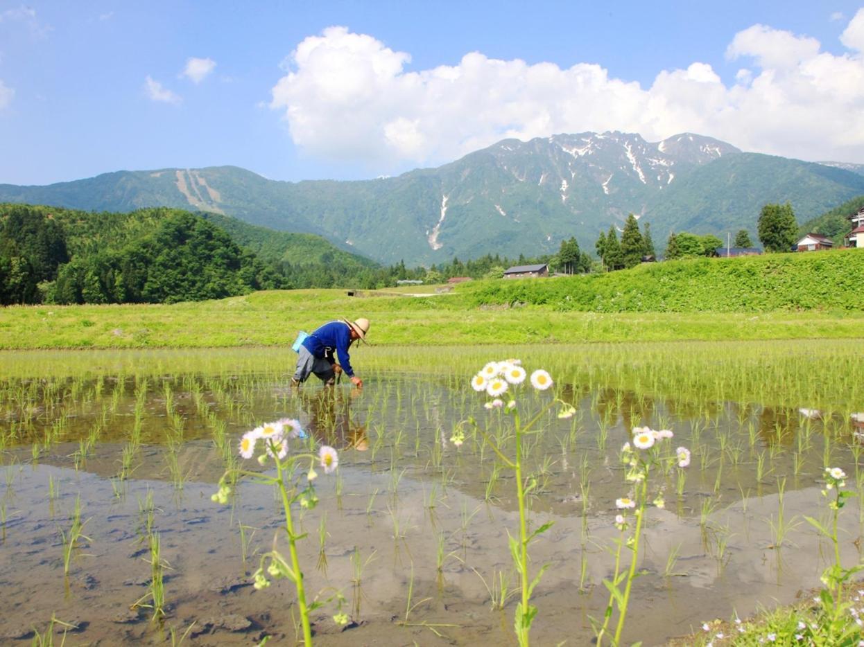 Koshijisou Hotel Niigata Buitenkant foto